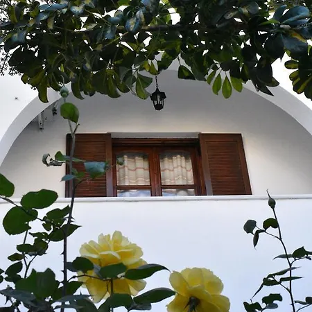Katerina Studios